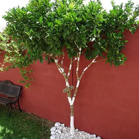 Samadhi Home Ferienhaus Chiclana de la Frontera